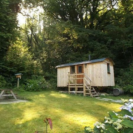 'Morris' The Shepherd'S Hut With Woodland Hot Tub Carmarthen Exteriér fotografie