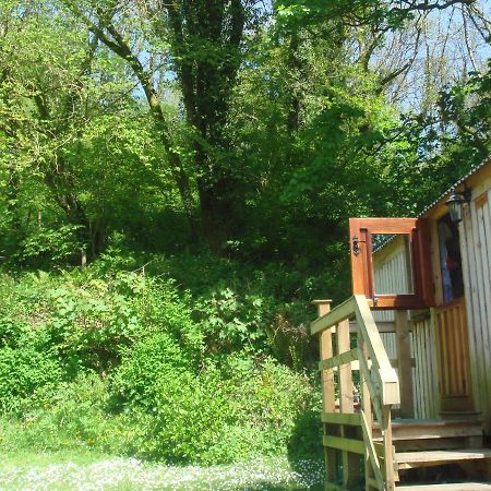 'Morris' The Shepherd'S Hut With Woodland Hot Tub Carmarthen Exteriér fotografie