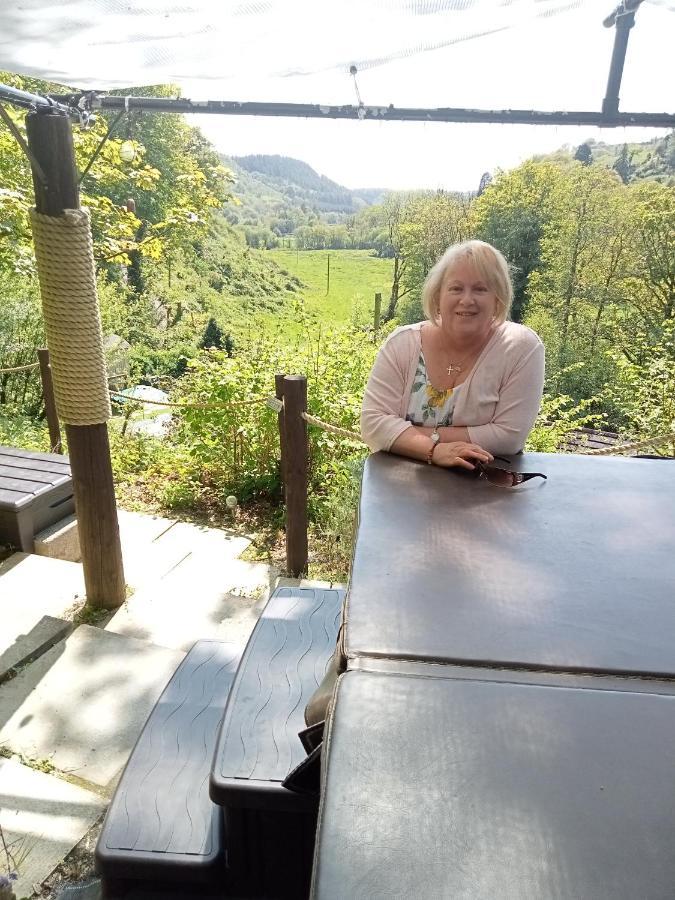 'Morris' The Shepherd'S Hut With Woodland Hot Tub Carmarthen Exteriér fotografie