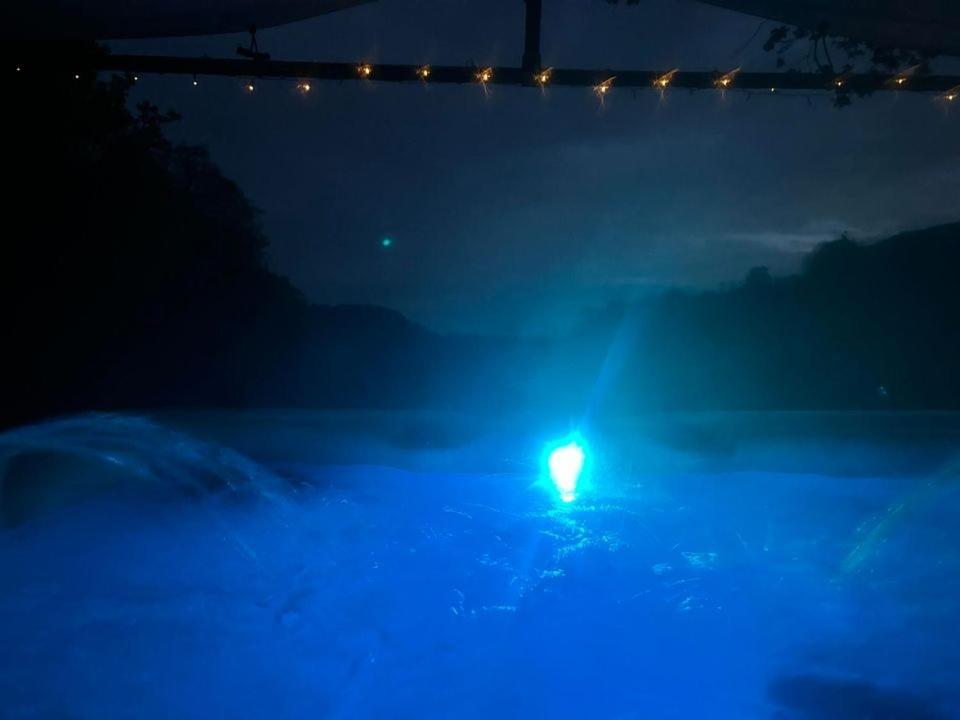 'Morris' The Shepherd'S Hut And Woodland Hot Tub Experience Carmarthen Exteriér fotografie