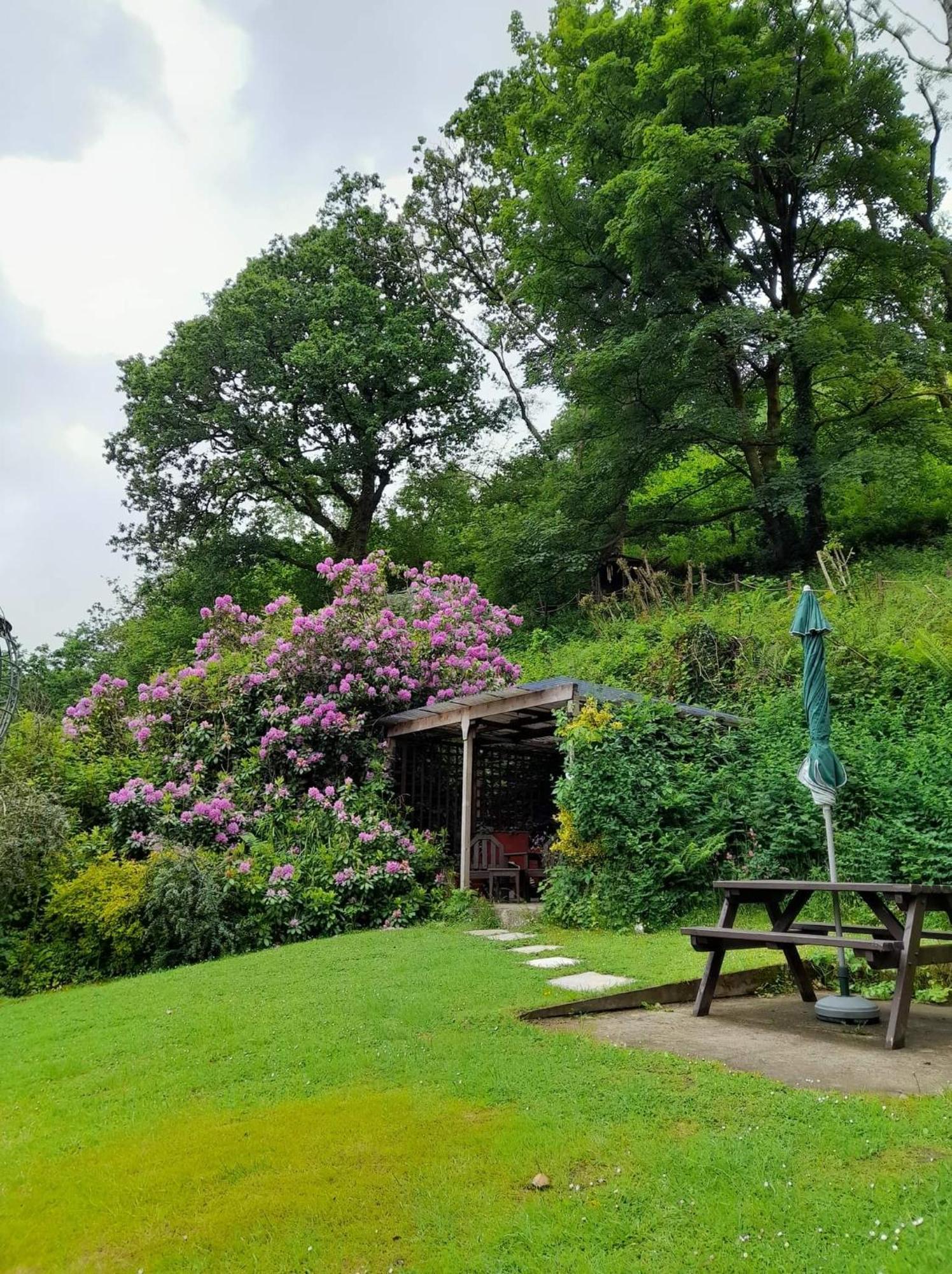 'Morris' The Shepherd'S Hut And Woodland Hot Tub Experience Carmarthen Exteriér fotografie