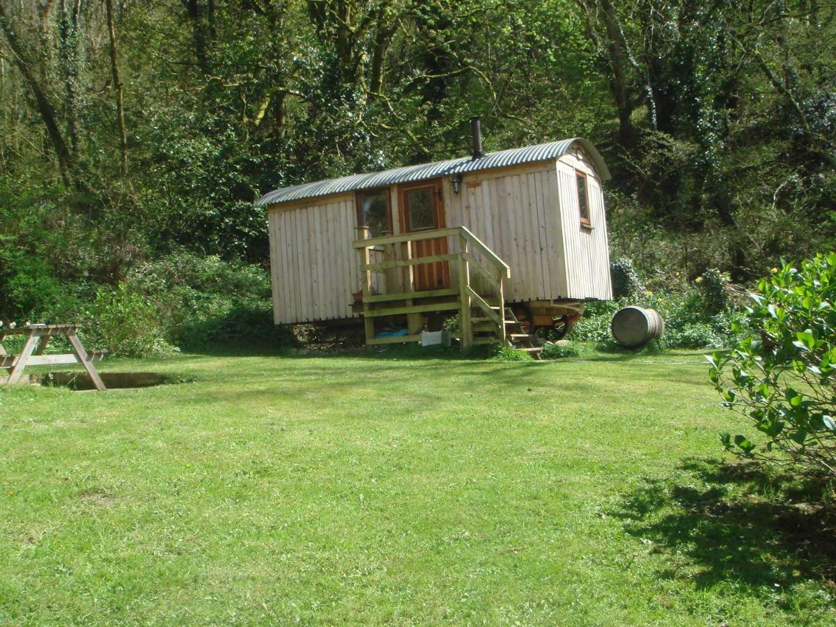 'Morris' The Shepherd'S Hut With Woodland Hot Tub Carmarthen Exteriér fotografie