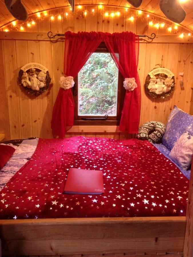'Morris' The Shepherd'S Hut And Woodland Hot Tub Experience Carmarthen Exteriér fotografie