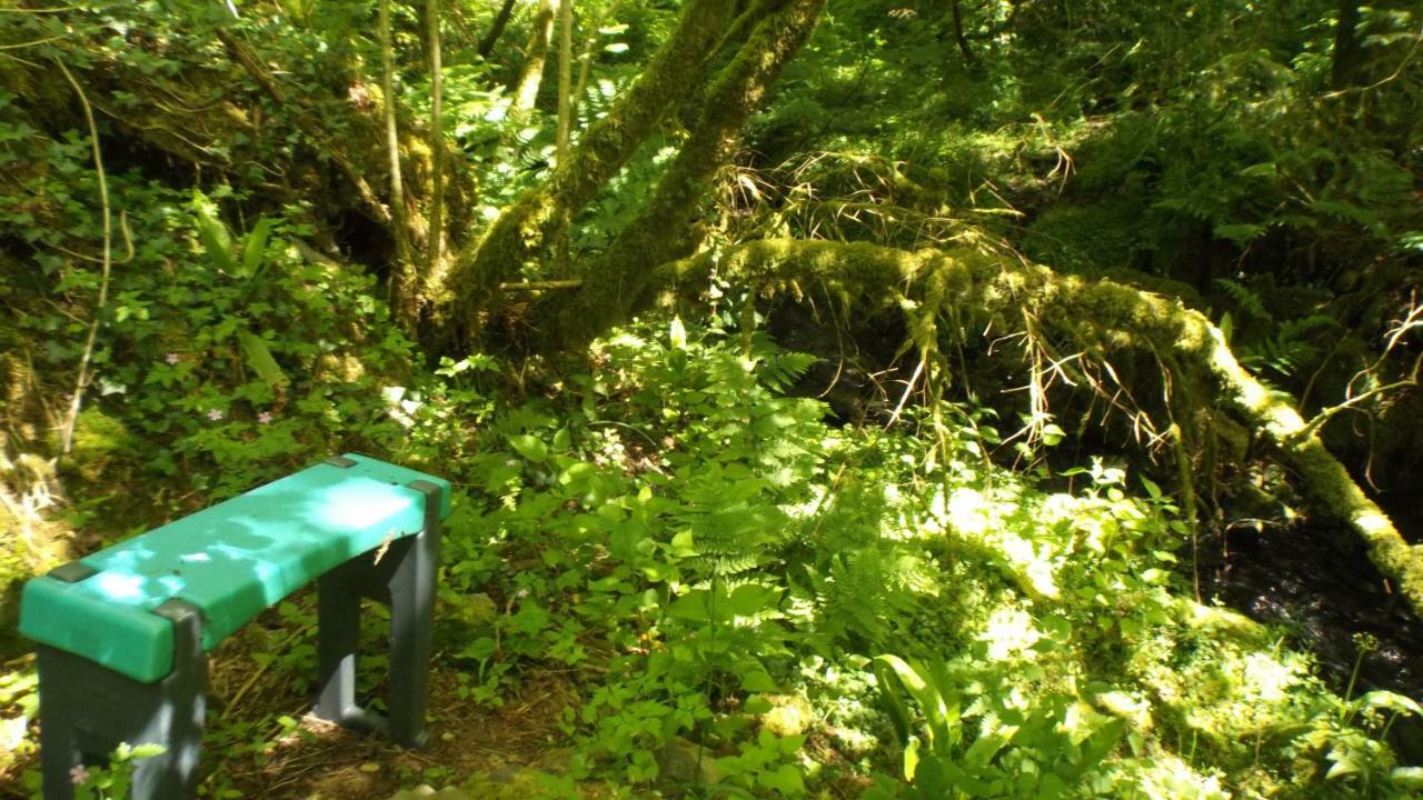 'Morris' The Shepherd'S Hut With Woodland Hot Tub Carmarthen Exteriér fotografie