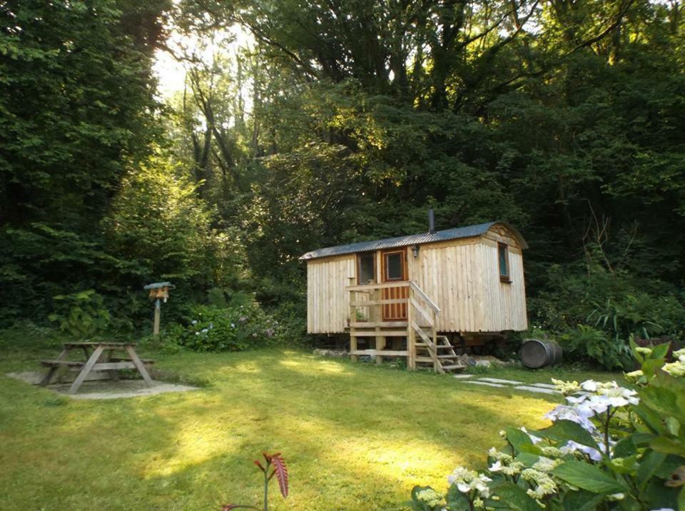 'Morris' The Shepherd'S Hut With Woodland Hot Tub Carmarthen Exteriér fotografie