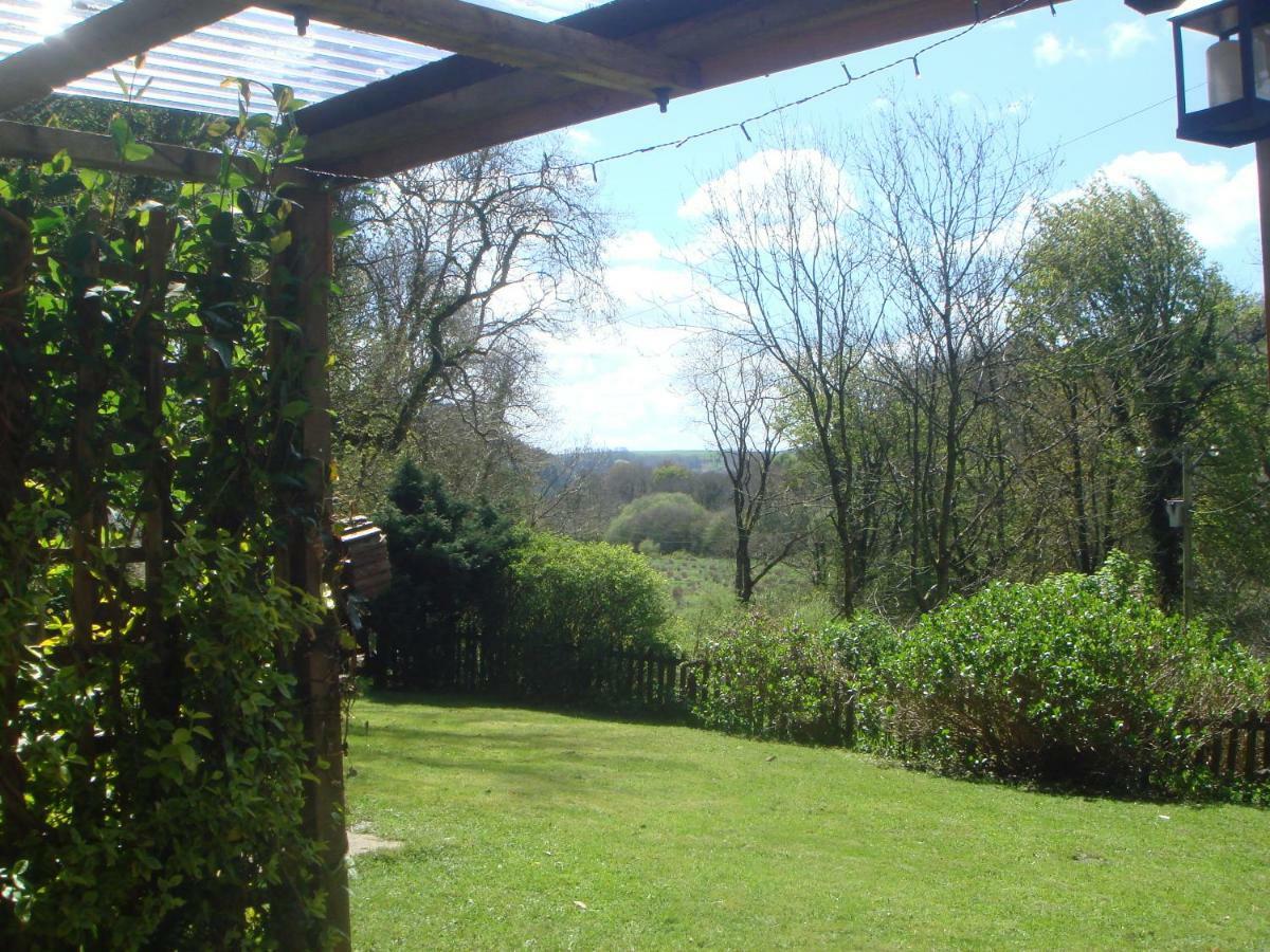 'Morris' The Shepherd'S Hut And Woodland Hot Tub Experience Carmarthen Exteriér fotografie