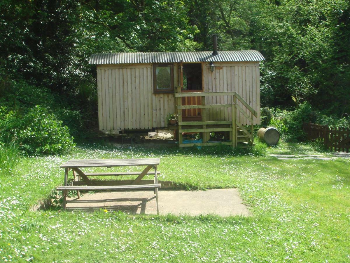 'Morris' The Shepherd'S Hut With Woodland Hot Tub Carmarthen Exteriér fotografie