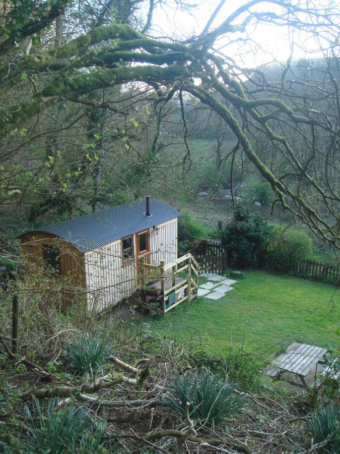 'Morris' The Shepherd'S Hut With Woodland Hot Tub Carmarthen Exteriér fotografie
