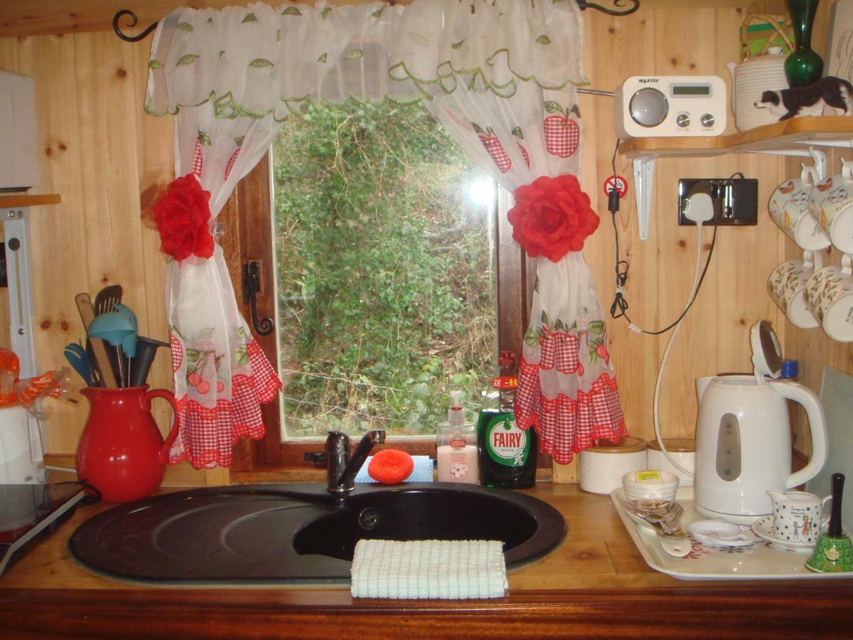 'Morris' The Shepherd'S Hut With Woodland Hot Tub Carmarthen Exteriér fotografie