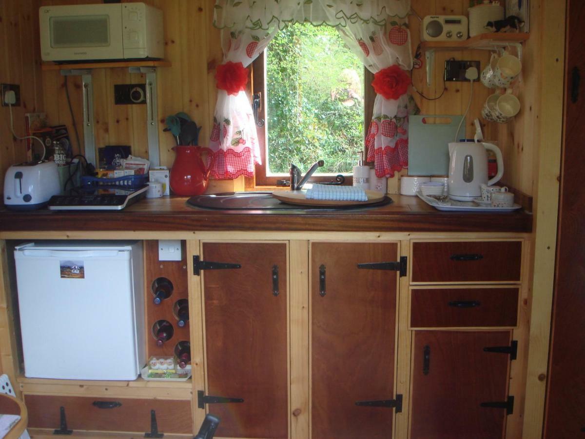 'Morris' The Shepherd'S Hut With Woodland Hot Tub Carmarthen Exteriér fotografie