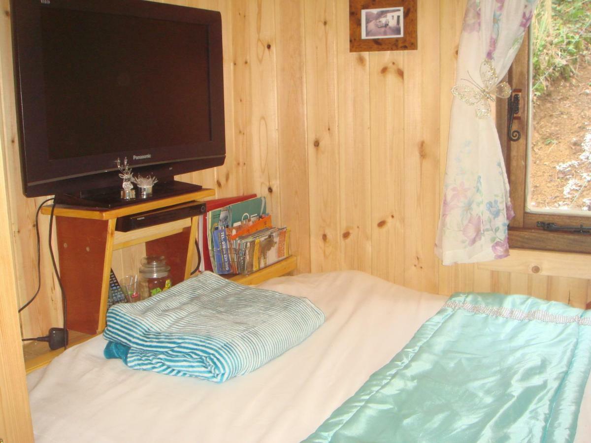 'Morris' The Shepherd'S Hut With Woodland Hot Tub Carmarthen Exteriér fotografie