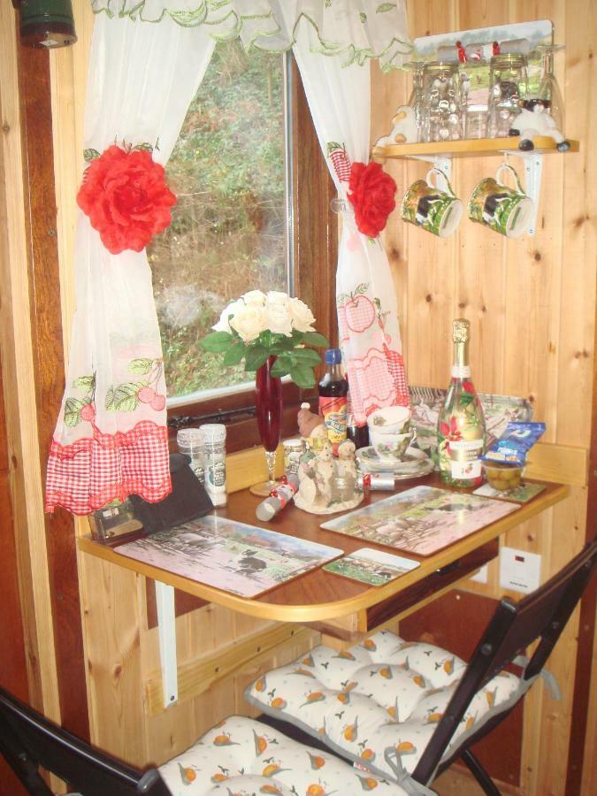 'Morris' The Shepherd'S Hut With Woodland Hot Tub Carmarthen Exteriér fotografie