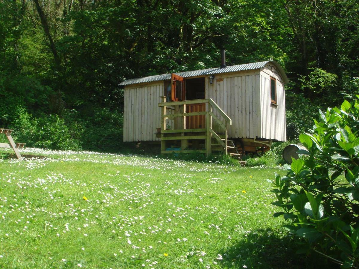 'Morris' The Shepherd'S Hut With Woodland Hot Tub Carmarthen Exteriér fotografie