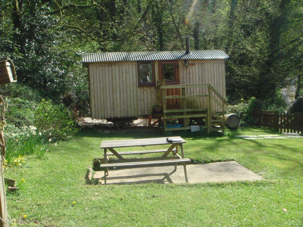 'Morris' The Shepherd'S Hut With Woodland Hot Tub Carmarthen Exteriér fotografie