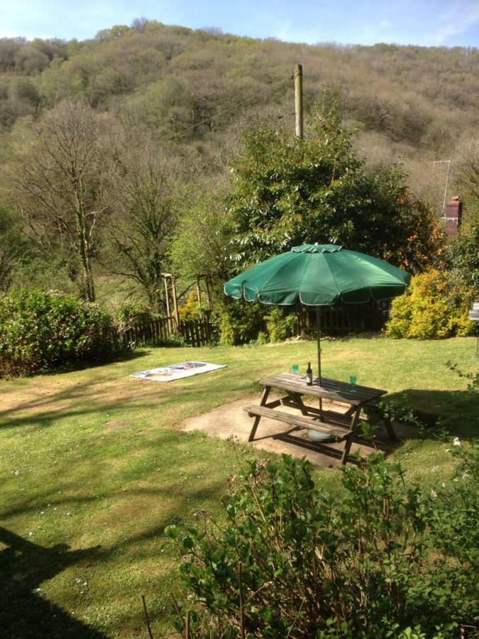 'Morris' The Shepherd'S Hut With Woodland Hot Tub Carmarthen Exteriér fotografie