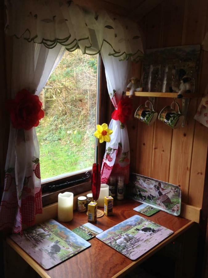 'Morris' The Shepherd'S Hut With Woodland Hot Tub Carmarthen Exteriér fotografie