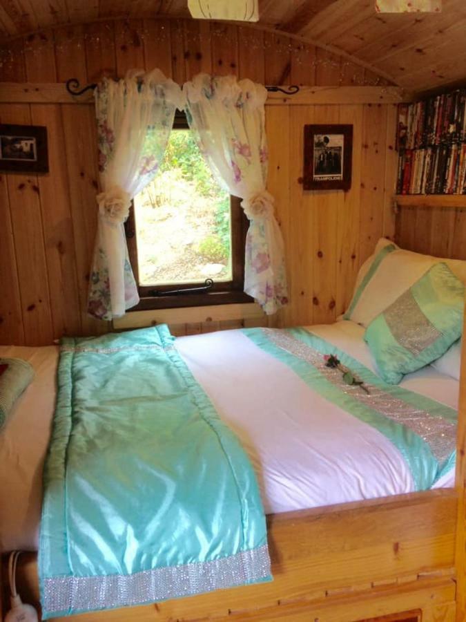 'Morris' The Shepherd'S Hut With Woodland Hot Tub Carmarthen Exteriér fotografie