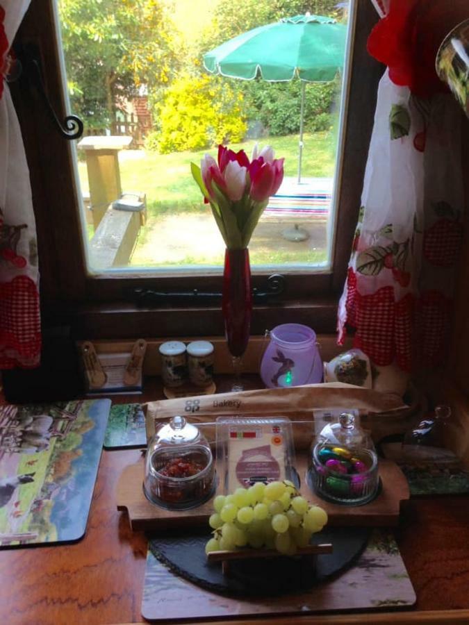 'Morris' The Shepherd'S Hut With Woodland Hot Tub Carmarthen Exteriér fotografie