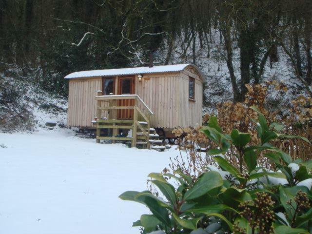 'Morris' The Shepherd'S Hut With Woodland Hot Tub Carmarthen Exteriér fotografie