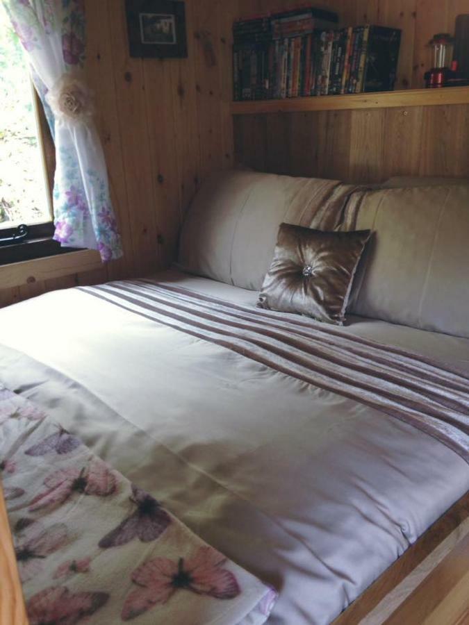 'Morris' The Shepherd'S Hut With Woodland Hot Tub Carmarthen Exteriér fotografie