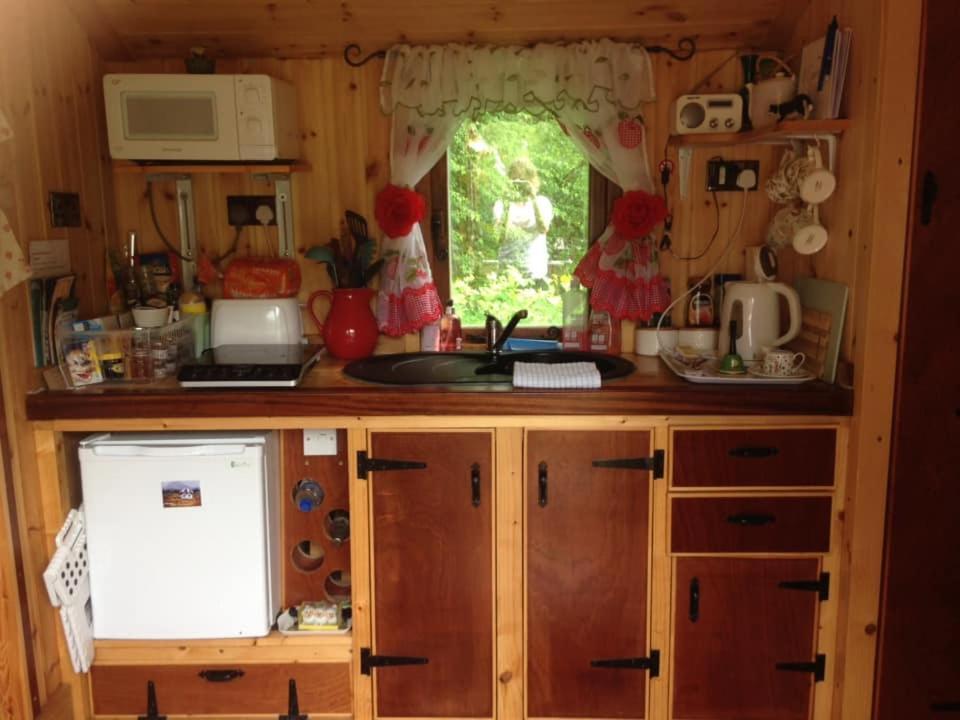 'Morris' The Shepherd'S Hut With Woodland Hot Tub Carmarthen Exteriér fotografie