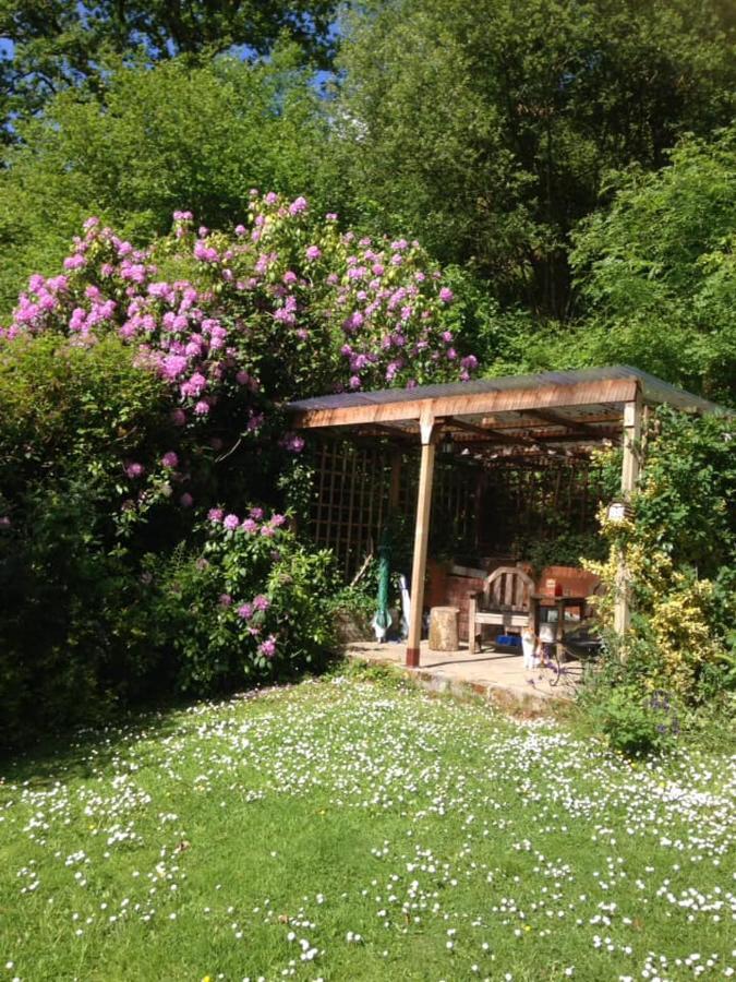 'Morris' The Shepherd'S Hut With Woodland Hot Tub Carmarthen Exteriér fotografie