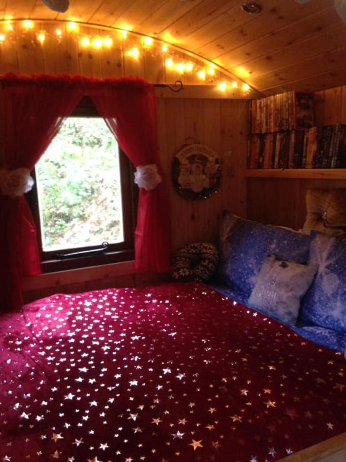 'Morris' The Shepherd'S Hut With Woodland Hot Tub Carmarthen Exteriér fotografie