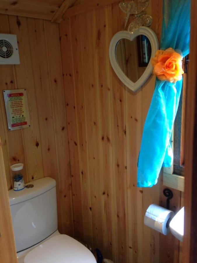 'Morris' The Shepherd'S Hut With Woodland Hot Tub Carmarthen Exteriér fotografie