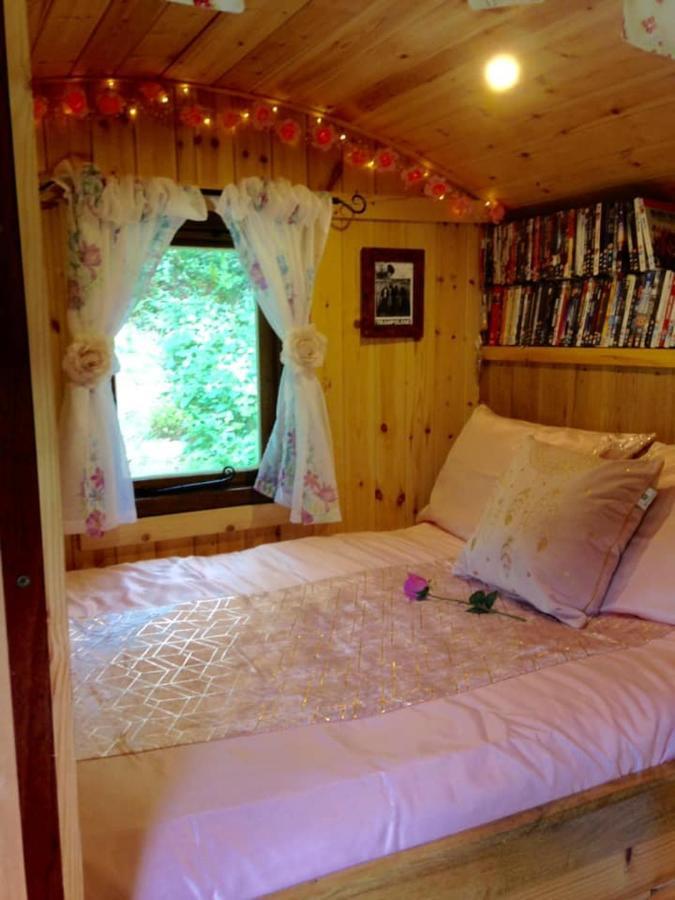 'Morris' The Shepherd'S Hut With Woodland Hot Tub Carmarthen Exteriér fotografie