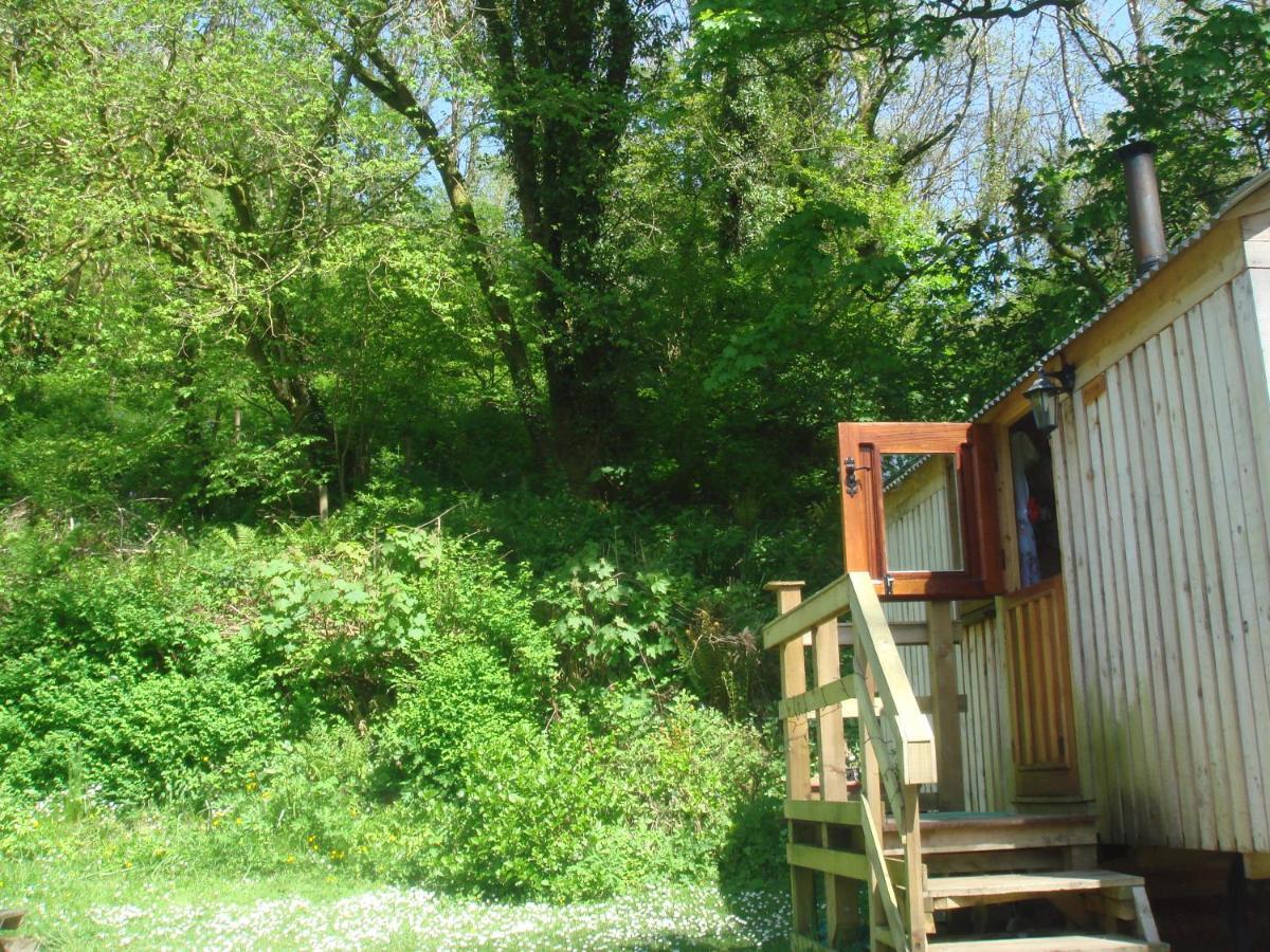 'Morris' The Shepherd'S Hut With Woodland Hot Tub Carmarthen Exteriér fotografie